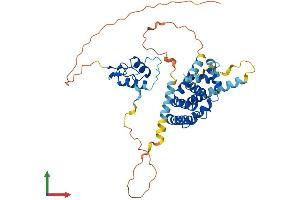 Protein Structure (PS) image for Nuclear Receptor Subfamily 2, Group E, Member 3 (NR2E3) (AA 1-410) protein (His tag) (ABIN7549924)