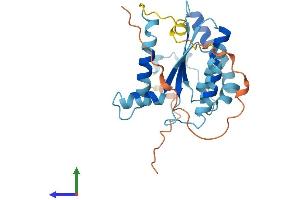 AlphaFold protein structure predicition of Human Recombinant TUBA4B Protein, UniprotID Q9H853 (TUBA4B Protein (AA 1-241) (His tag))