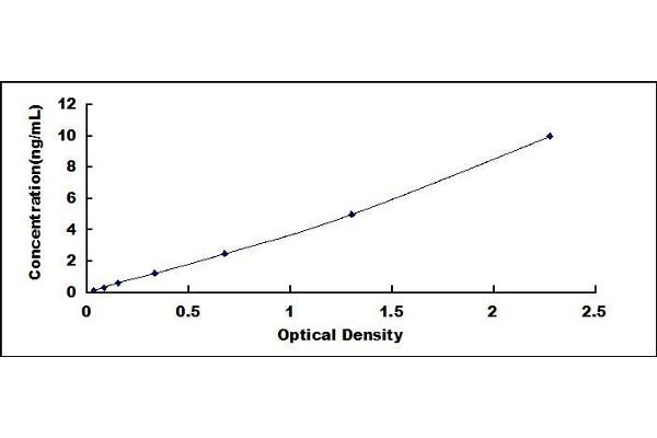 CST6 ELISA Kit