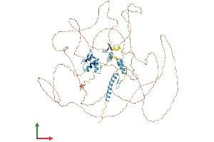 AlphaFold protein structure predicition of Human Recombinant CHAMP1 Protein, UniprotID Q96JM3 (ZNF828 Protein (AA 1-812) (His tag))