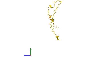 AlphaFold protein structure predicition of Human Recombinant LINC01558 Protein, UniprotID Q9Y6Z2 (C6orf123 Protein (AA 1-57) (Fc Tag))