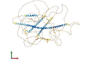 AlphaFold protein structure predicition of Mouse Recombinant Map7d3 Protein, UniprotID A2AEY4