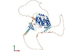AlphaFold protein structure predicition of Human Recombinant CDYL Protein, UniprotID Q9Y232 (CDYL Protein (AA 1-598) (His tag))