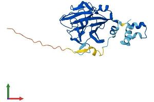 AlphaFold protein structure predicition of Mouse Recombinant Spsb4 Protein, UniprotID Q8R5B6