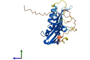 Protein Structure (PS) image for RAD52 Motif 1 (RDM1) (AA 1-281) protein (His tag) (ABIN7560552)