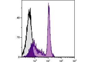 BALB/c mouse splenocytes were stained with Rat Anti-Mouse CD45RC-UNLB. (CD45RC antibody)