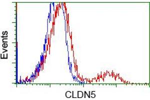 HEK293T cells transfected with either pCMV6-ENTRY CLDN5 (RC207122) (Red) or empty vector control plasmid (Blue) were immunostained with anti-CLDN5 mouse monoclonal (ABIN2452908), and then analyzed by flow cytometry. (Claudin 5 antibody)