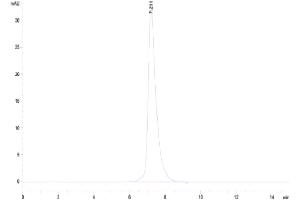 Size-exclusion chromatography-High Pressure Liquid Chromatography (SEC-HPLC) image for Selectin E (SELE) (AA 22-554) protein (His tag) (ABIN7274570)