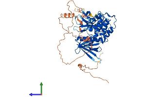 AlphaFold protein structure predicition of Mouse Recombinant Frmd5 Protein, UniprotID Q6P5H6 (FRMD5 Protein (AA 1-517) (His tag))