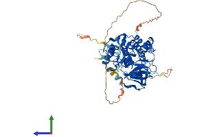 AlphaFold protein structure predicition of Human Recombinant VRK3 Protein, UniprotID Q8IV63 (VRK3 Protein (AA 1-474) (His tag))
