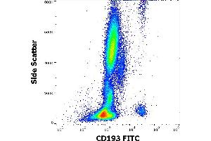 Flow cytometry surface staining pattern of human peripheral whole blood stained using anti-human CD193 (5E8) FITC antibody (4 μL reagent / 100 μL of peripheral whole blood).