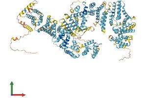AlphaFold protein structure predicition of Mouse Recombinant Fanca Protein, UniprotID Q9JL70 (FANCA Protein (AA 1-1439) (His tag))