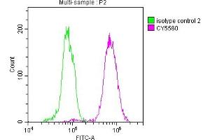 Overlay histogram showing Hela cells stained with ABIN7127352 (red line) at 1:50.