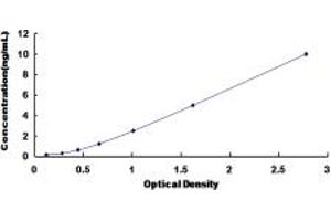 MTDH ELISA Kit