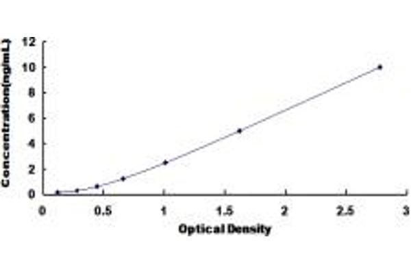 MTDH ELISA Kit