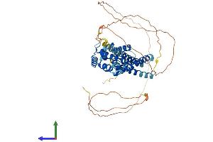 Protein Structure (PS) image for Target of Myb1 (Chicken)-Like 1 (TOM1L1) (AA 1-474) protein (His tag) (ABIN7560251)
