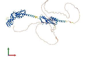 AlphaFold protein structure predicition of Human Recombinant FMR1 Protein, UniprotID Q06787 (FMR1 Protein (AA 1-632) (His tag))