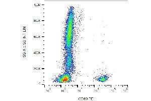 Surface staining of human peripheral blood cells with anti-human CD19 PE. (CD19 antibody  (PE))