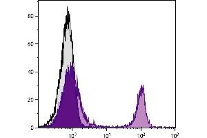 BALB/c mouse splenocytes were stained with Rat Anti-Mouse CD4-UNLB  followed by Mouse Anti-Rat IgG2b-PE. (CD4 antibody)