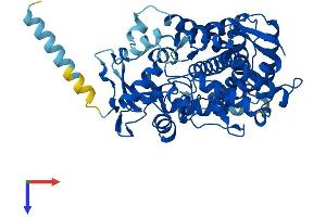 AlphaFold protein structure predicition of Mouse Recombinant Cyp2c39 Protein, UniprotID P56656