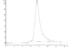 The purity of Human CLEC10A is greater than 95 % as determined by SEC-HPLC. (CLEC10A Protein (AA 61-316) (His tag))