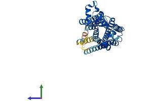 AlphaFold protein structure predicition of Mouse Recombinant Taar7a Protein, UniprotID Q5QD12 (TAAR7A Protein (AA 1-358) (His tag))