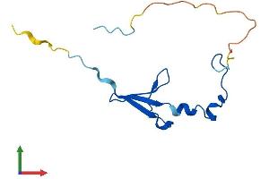 Protein Structure (PS) image for Eukaryotic Translation Initiation Factor 4E Binding Protein 2 (EIF4EBP2) (AA 1-120) protein (His tag) (ABIN7551775)