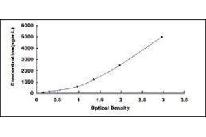 Typical standard curve (Periostin ELISA Kit)