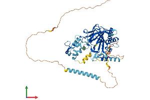 AlphaFold protein structure predicition of Mouse Recombinant P4htm Protein, UniprotID Q8BG58 (P4HTM Protein (AA 1-503) (His tag))