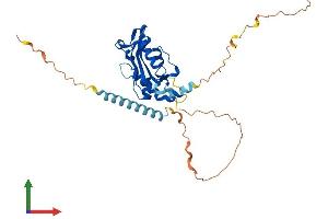 Protein Structure (PS) image for Apoptosis Enhancing Nuclease (AEN) (AA 1-325) protein (His tag) (ABIN7552035)