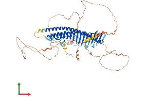 AlphaFold protein structure predicition of Mouse Recombinant Jph4 Protein, UniprotID Q80WT0 (Junctophilin 4 Protein (JPH4) (AA 1-628) (His tag))