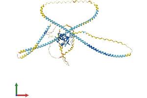 AlphaFold protein structure predicition of Mouse Recombinant Colec12 Protein, UniprotID Q8K4Q8