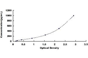 Typical standard curve (L1CAM ELISA Kit)