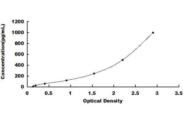 L1CAM ELISA Kit