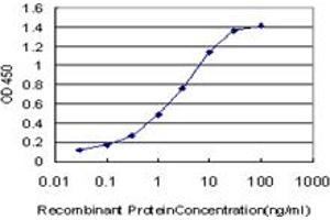 Detection limit for recombinant GST tagged CITED1 is approximately 0. (CITED1 antibody  (AA 94-193))