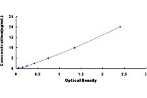 TMOD3 ELISA Kit