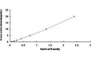 Typical standard curve (TMOD3 ELISA Kit)