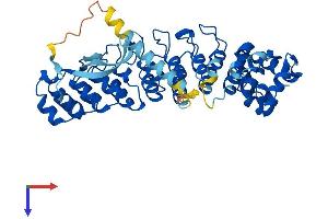 Ankyrin Repeat and SOCS Box Containing 16 (ASB16) (AA 1-453) protein (His tag)