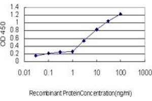 Detection limit for recombinant GST tagged MAZ is approximately 0. (MAZ antibody  (AA 332-440))