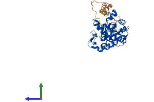 AlphaFold protein structure predicition of Human Recombinant HS3ST6 Protein, UniprotID Q96QI5 (Heparan Sulfate (Glucosamine) 3-O-Sulfotransferase 6 (HS3ST6) (AA 1-342) protein (His tag))