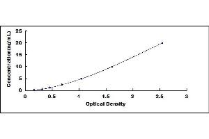 Typical standard curve (MCCC2 ELISA Kit)