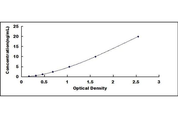 MCCC2 ELISA Kit