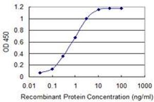 Detection limit for recombinant GST tagged EPS8L2 is 0. (EPS8-Like 2 antibody  (AA 615-714))