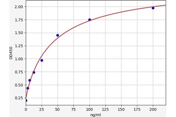 F13B ELISA Kit