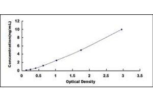 Typical standard curve (ELOVL1 ELISA Kit)