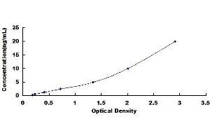 Typical standard curve (DDT ELISA Kit)