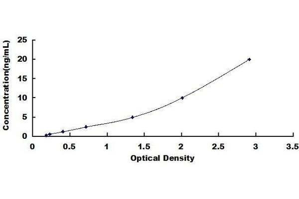 DDT ELISA Kit