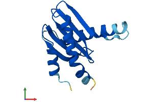 AlphaFold protein structure predicition of Mouse Recombinant Lamtor2 Protein, UniprotID Q9JHS3