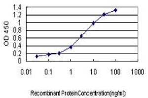 Detection limit for recombinant GST tagged PUM2 is approximately 0. (PUM2 antibody  (AA 701-798))