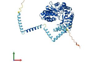 Protein Structure (PS) image for Sphingosine-1-Phosphate Lyase 1 (SGPL1) (AA 1-568) protein (His tag) (ABIN7559646)
